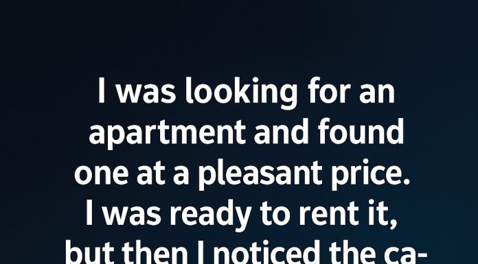 Behind the Carpet: A Quiet Discovery in a New Home Behind the Carpet: A Quiet Discovery in a New Home - featured image