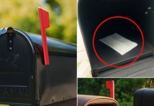 What It Could Mean If There’s a Dryer Sheet in Your Mailbox What It Could Mean If There’s a Dryer Sheet in Your Mailbox - featured image