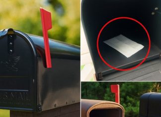 What It Could Mean If There’s a Dryer Sheet in Your Mailbox What It Could Mean If There’s a Dryer Sheet in Your Mailbox - featured image
