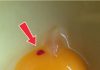 What Red Spots in Eggs Mean — and Whether They’re Safe to Eat What Red Spots in Eggs Mean — and Whether They’re Safe to Eat - featured image