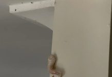 What a Pink, Crusty Wall Buildup Could Indicate About Your Home What a Pink, Crusty Wall Buildup Could Indicate About Your Home - featured image