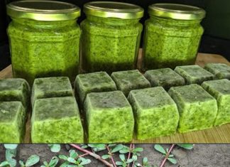 What Happens to Your Body When You Eat Purslane Every Day — Especially After 60 What Happens to Your Body When You Eat Purslane Every Day — Especially After 60 - featured image