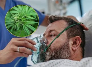 Why using a fan at night can disrupt your sleep Why using a fan at night can disrupt your sleep - featured image