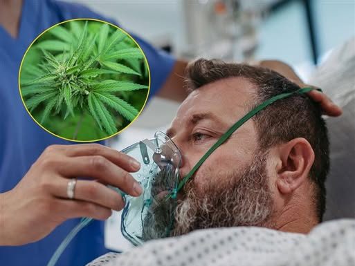 Why using a fan at night can disrupt your sleep Why using a fan at night can disrupt your sleep - featured image