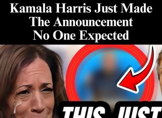 Kamala Harris’ Ex Criticizes Her Campaign: ‘Not One of Them Got it Right’ Kamala Harris’ Ex Criticizes Her Campaign: ‘Not One of Them Got it Right’ - featured image