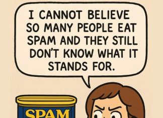 SPAM: What does it stand for, and what are its ingredients? SPAM: What does it stand for, and what are its ingredients? - featured image