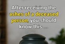 Keeping Ashes at Home: What You Should Know Before Deciding Keeping Ashes at Home: What You Should Know Before Deciding - featured image