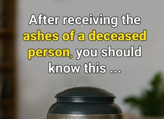 Keeping Ashes at Home: What You Should Know Before Deciding Keeping Ashes at Home: What You Should Know Before Deciding - featured image