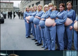 The women in the prison became pregnant one after another: the guards couldn’t understand how such a thing could happen in locked cells, until the horrifying truth was revealed The women in the prison became pregnant one after another: the guards couldn’t understand how such a thing could happen in locked cells, until the horrifying truth was revealed - featured image