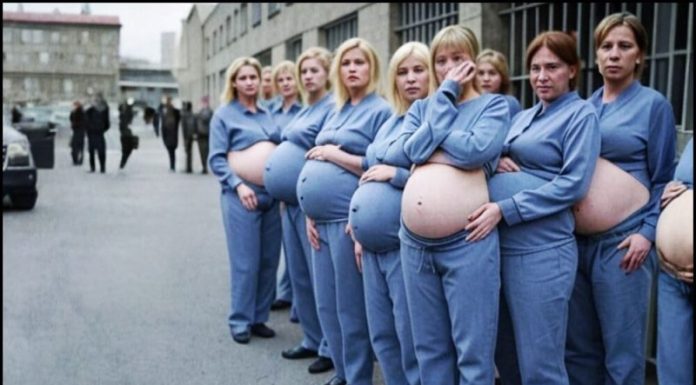 The women in the prison became pregnant one after another: the guards couldn’t understand how such a thing could happen in locked cells, until the horrifying truth was revealed The women in the prison became pregnant one after another: the guards couldn’t understand how such a thing could happen in locked cells, until the horrifying truth was revealed - featured image