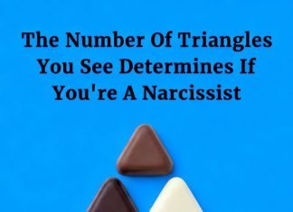 A Simple Visual Puzzle That Shows How Differently We See the Same Image A Simple Visual Puzzle That Shows How Differently We See the Same Image - featured image