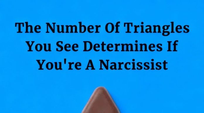 A Simple Visual Puzzle That Shows How Differently We See the Same Image A Simple Visual Puzzle That Shows How Differently We See the Same Image - featured image