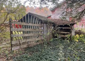 Your Chance to Reimagine and Revive a New York Home Your Chance to Reimagine and Revive a New York Home - featured image