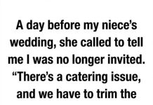 When I Was Asked Not to Attend the Wedding, I Chose Grace Instead When I Was Asked Not to Attend the Wedding, I Chose Grace Instead - featured image