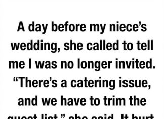 When I Was Asked Not to Attend the Wedding, I Chose Grace Instead When I Was Asked Not to Attend the Wedding, I Chose Grace Instead - featured image