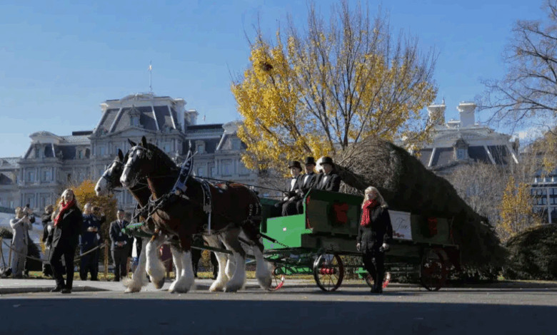 Melania Trump Welcomes the Christmas Tree in Style - featured image Melania Trump Welcomes the Christmas Tree in Style - featured image