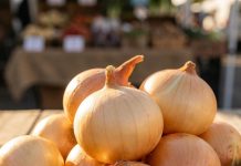 Doctors Share Insights on the Potential Benefits of Eating Onions Doctors Share Insights on the Potential Benefits of Eating Onions - featured image