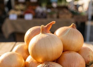 Doctors Share Insights on the Potential Benefits of Eating Onions Doctors Share Insights on the Potential Benefits of Eating Onions - featured image