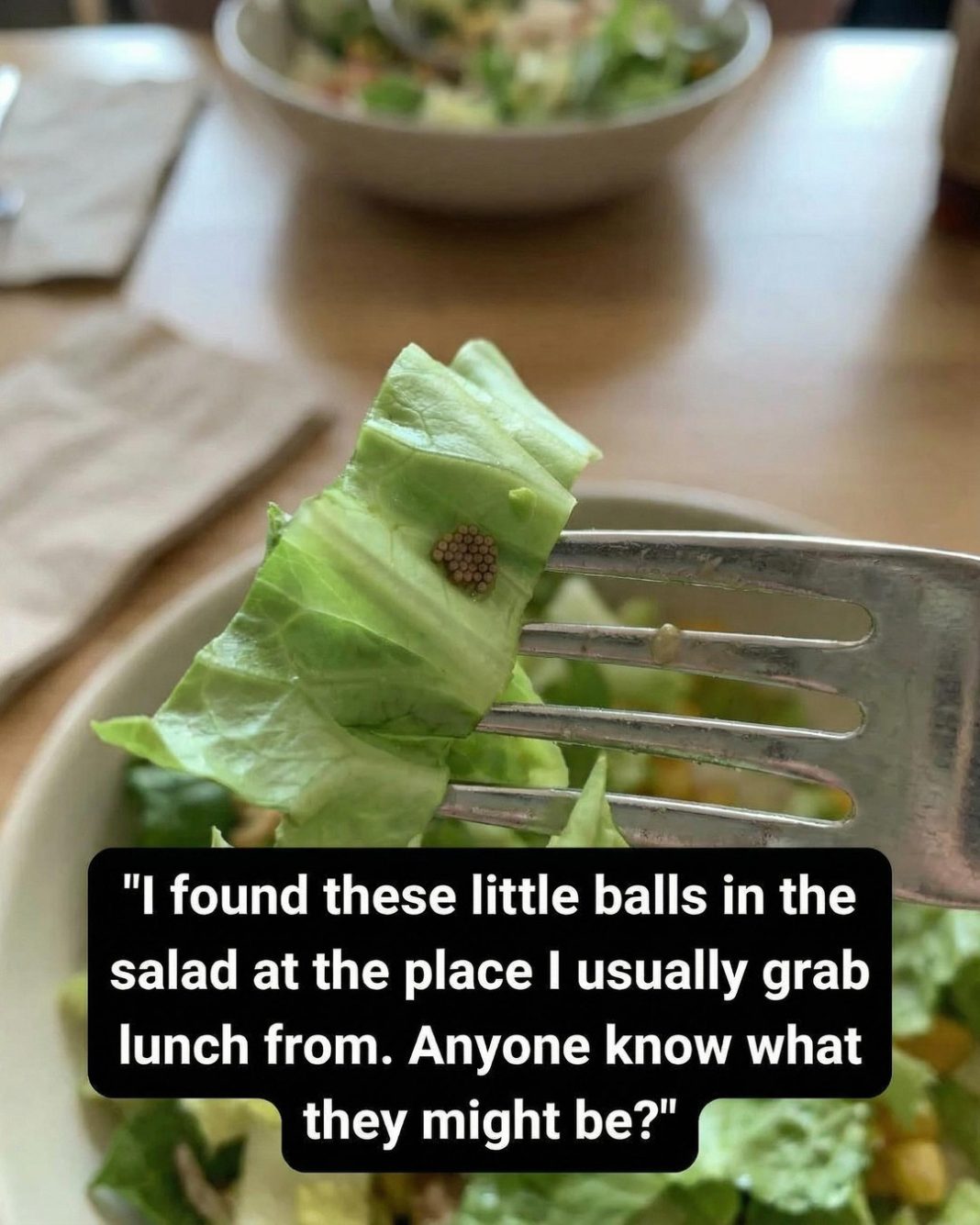 What She Learned After Mistaking an Ingredient for Quinoa - featured image What She Learned After Mistaking an Ingredient for Quinoa - featured image