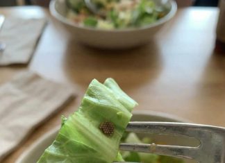 What She Learned After Mistaking an Ingredient for Quinoa What She Learned After Mistaking an Ingredient for Quinoa - featured image