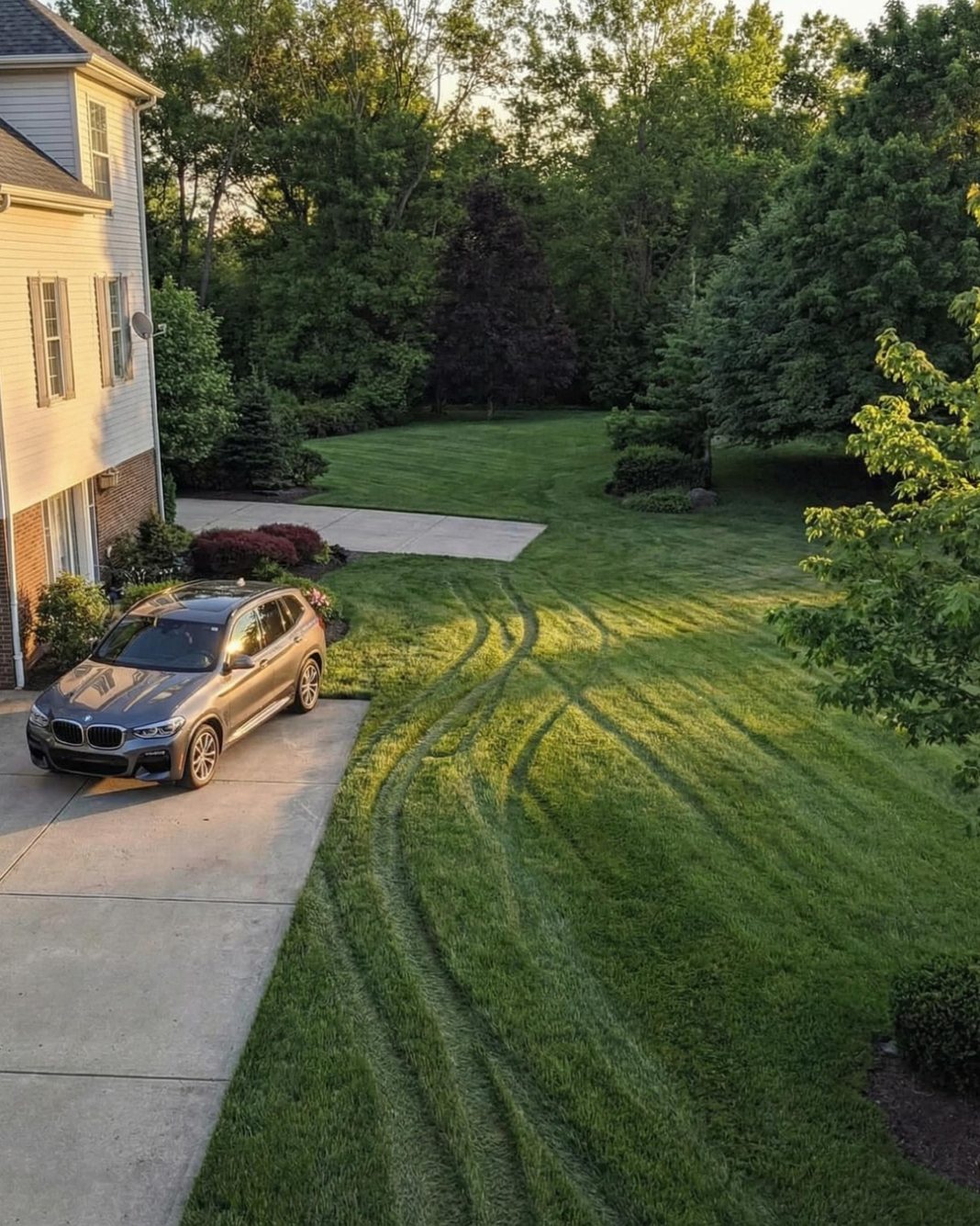 My Neighbor Used My Lawn as a Daily Shortcut to Her Yard - featured image