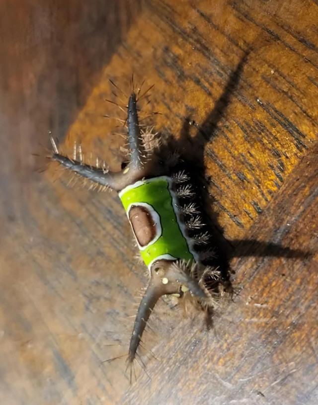 The Little ‘Leaf’ on My Floor That Made Me Stop and Think - featured image The Little ‘Leaf’ on My Floor That Made Me Stop and Think - featured image