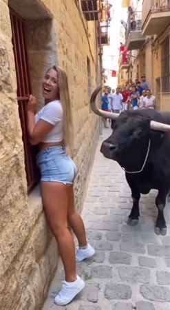 “Tourist Faces Bull — What Happens Next Will Shock You” - featured image “Tourist Faces Bull — What Happens Next Will Shock You” - featured image