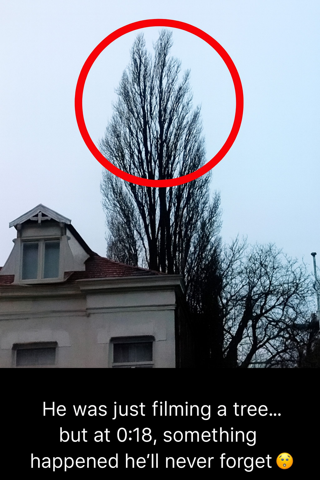 He was just filming his backyard… then something unexpected happened - featured image He was just filming his backyard… then something unexpected happened - featured image