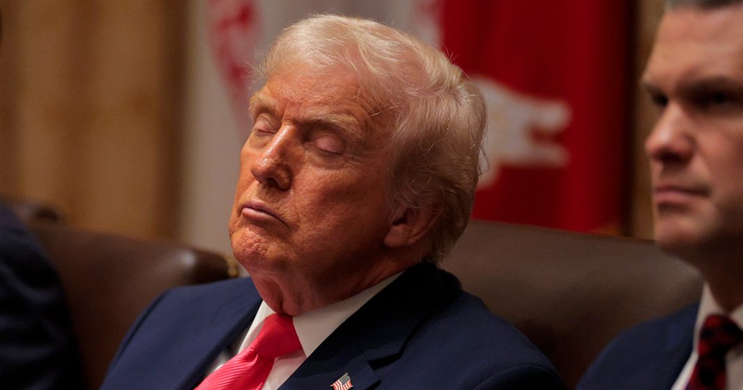 ‘Commander in sleep’: Trump mocked after appearing to fall asleep in cabinet meeting - featured image