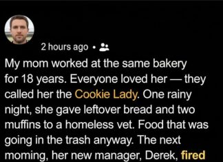 She Was Fired for a Kind Act, But Years Later Life Proved Her Right She Was Fired for a Kind Act, But Years Later Life Proved Her Right - featured image