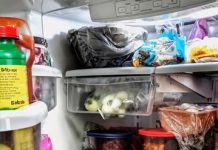 Every Time I Cooked, the Food Vanished — One Unexpected Day, I Found Out Why. Every Time I Cooked, the Food Vanished — One Unexpected Day, I Found Out Why. - featured image