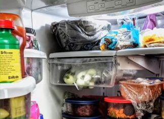 Every Time I Cooked, the Food Vanished — One Unexpected Day, I Found Out Why. Every Time I Cooked, the Food Vanished — One Unexpected Day, I Found Out Why. - featured image