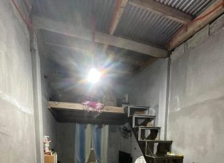 The owners shared their fantastic transformation and surprised with the final results The owners shared their fantastic transformation and surprised with the final results - featured image