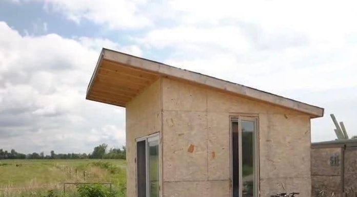 Recently divorced woman moves into 10’x11′ shed and coverts it into lovely tiny home Recently divorced woman moves into 10’x11′ shed and coverts it into lovely tiny home - featured image