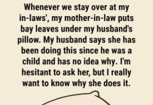 A Gentle Nighttime Ritual: How the Calming Scent of Bay Leaves May Help You Relax Before Sleep A Gentle Nighttime Ritual: How the Calming Scent of Bay Leaves May Help You Relax Before Sleep - featured image