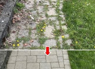 How to eliminate weeds forever and naturally How to eliminate weeds forever and naturally - featured image