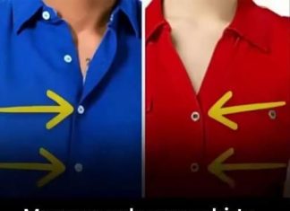 Why Women’s Shirts Button Differently from Men’s: A History Sewn Into Everyday Clothing Why Women’s Shirts Button Differently from Men’s: A History Sewn Into Everyday Clothing - featured image