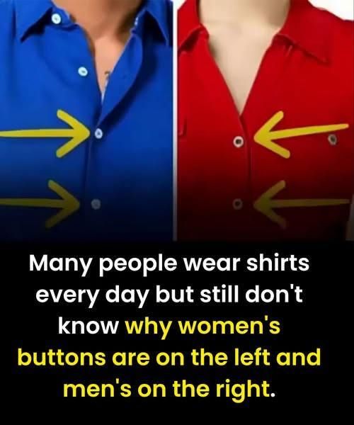 Why Women’s Shirts Button Differently from Men’s: A History Sewn Into Everyday Clothing - featured image Why Women’s Shirts Button Differently from Men’s: A History Sewn Into Everyday Clothing - featured image