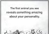 The first animal you see will reveal something about your personality. The first animal you see will reveal something about your personality. - featured image