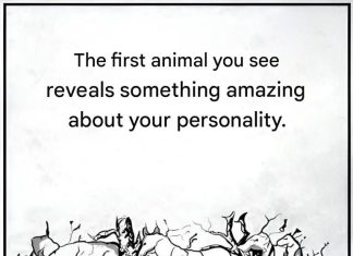 The first animal you see will reveal something about your personality. The first animal you see will reveal something about your personality. - featured image