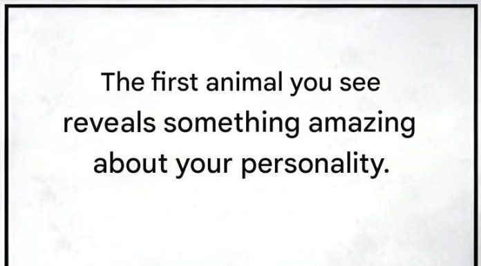 The first animal you see will reveal something about your personality. The first animal you see will reveal something about your personality. - featured image