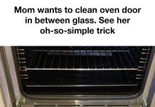 A Simple Trick to Clean Your Oven Door Glass A Simple Trick to Clean Your Oven Door Glass - featured image