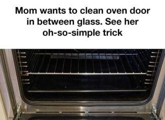 A Simple Trick to Clean Your Oven Door Glass A Simple Trick to Clean Your Oven Door Glass - featured image