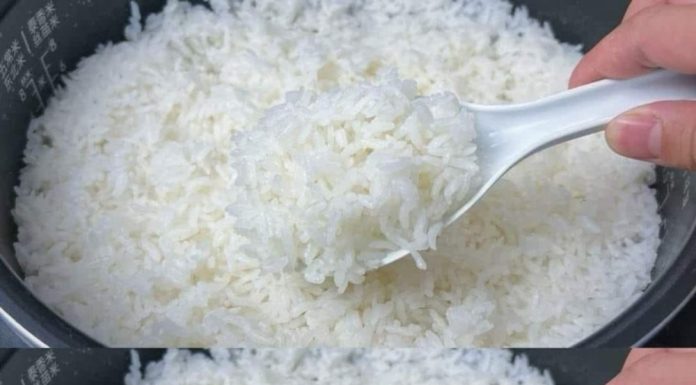 Elevate your rice: the restaurant industry’s best-kept secret Elevate your rice: the restaurant industry’s best-kept secret - featured image