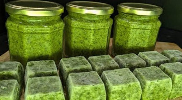 What Happens to Your Body When You Eat Purslane Every Day — Especially After 60 What Happens to Your Body When You Eat Purslane Every Day — Especially After 60 - featured image