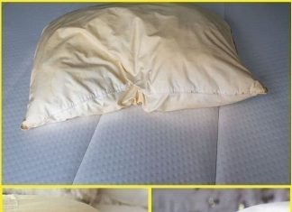 HomeHere’s how to clean dirty pillows from bed to leave them white and sweet scent… Here’s how to clean dirty pillows from bed to leave them white and sweet scent… HomeHere’s how to clean dirty pillows from bed to leave them white and sweet scent… Here’s how to clean dirty pillows from bed to leave them white and sweet scent… - featured image