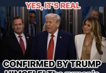 UN Event Technical Problems Lead Trump to Seek Review UN Event Technical Problems Lead Trump to Seek Review - featured image