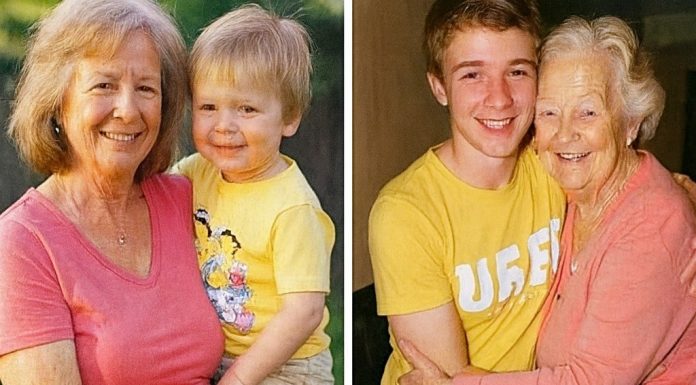 After Being Gone for 22 Years, My Son-in-Law Came Back to Find the House Empty. After Being Gone for 22 Years, My Son-in-Law Came Back to Find the House Empty. - featured image