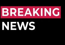 A Life Dedicated to Sharing Other People’s Stories Comes to a Gentle Close A Life Dedicated to Sharing Other People’s Stories Comes to a Gentle Close - featured image