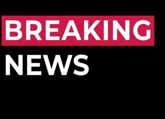 A Life Dedicated to Sharing Other People’s Stories Comes to a Gentle Close A Life Dedicated to Sharing Other People’s Stories Comes to a Gentle Close - featured image